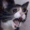 😱