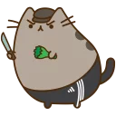 🐱