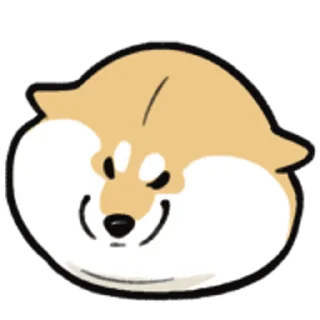 Puppy Goji @xkysluv