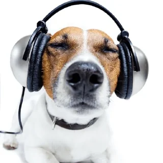 🎧