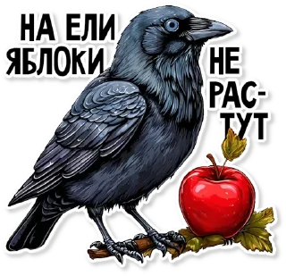 🍎