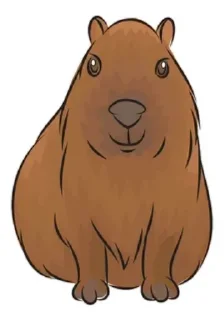 📺