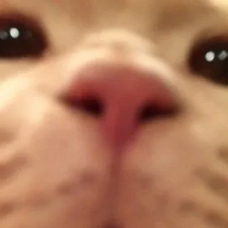 😑
