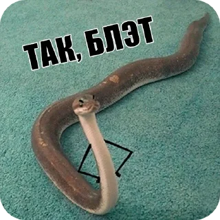 🤨