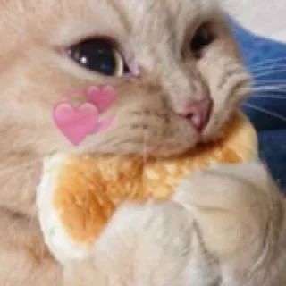 😋