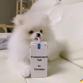 😨