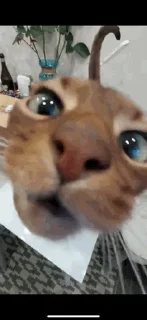 😳