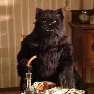 🐈