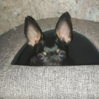 😯