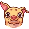 Tuna the Dog