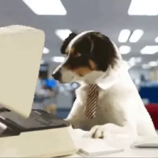 💻