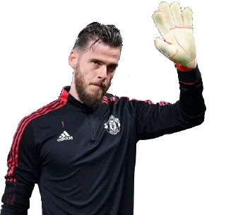 🧤