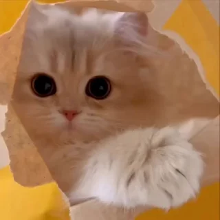 😗