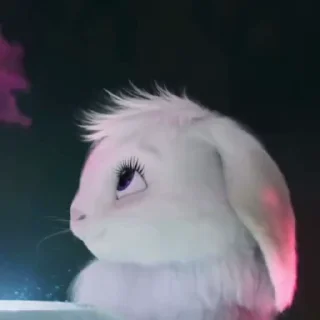 🥰