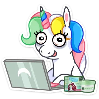 💻