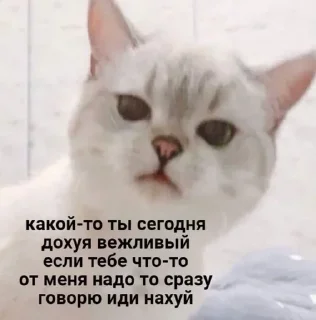 😡