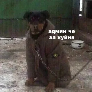 🧐