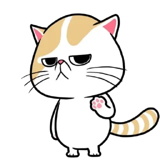 🐱
