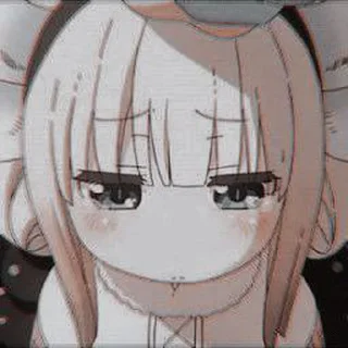 🐰