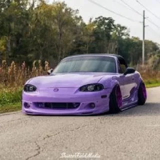 🟪