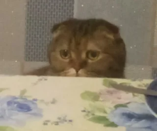 👀