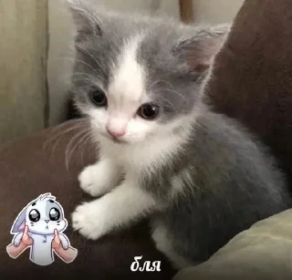 😐