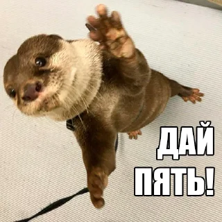 🤝
