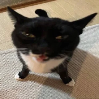 🤬