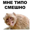 😁