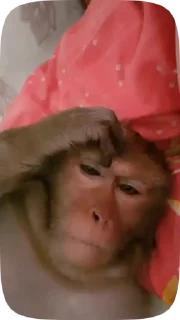 😐