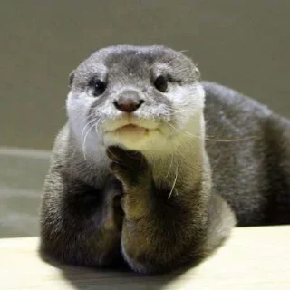 😙