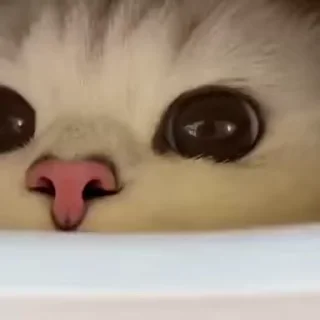 👀
