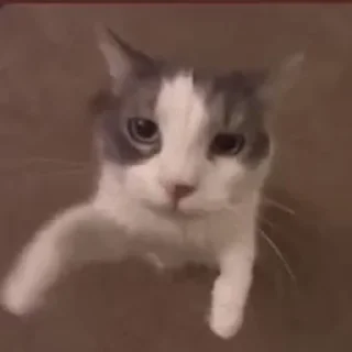 😘