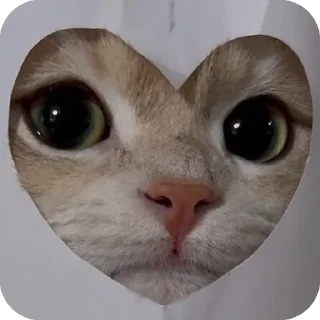 ❤