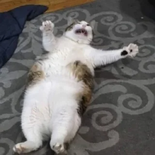 😵