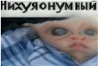 🧠