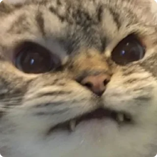 😡