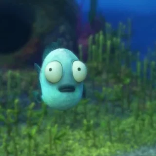 👀