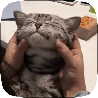 🤗