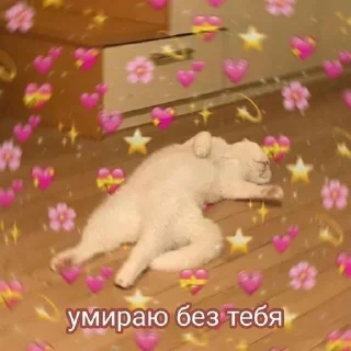 💖