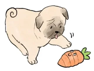 🐶