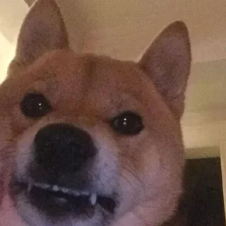 😤