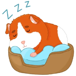 😴