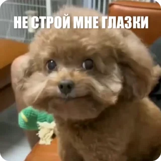 😀
