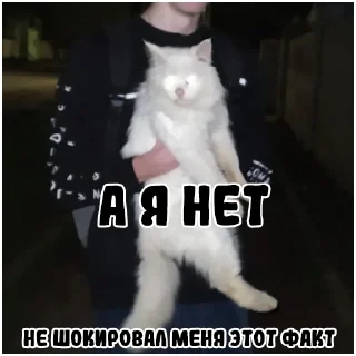 🤨