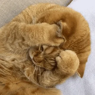 😱