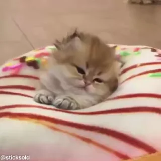 😍