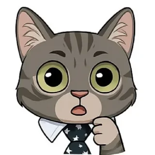 🐱