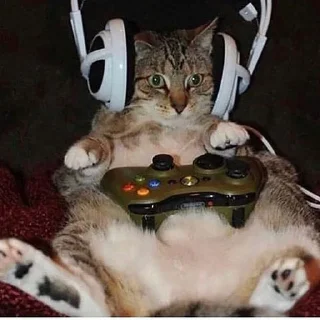 🎮
