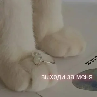 💍